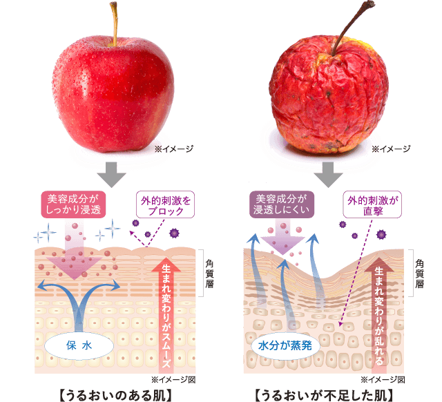 化粧品トライアルキットのご購入はこちらから | MUNOAGE（ミュー